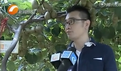 [视频]微信推动深山神农红心猕猴桃销售-嵊州电视台